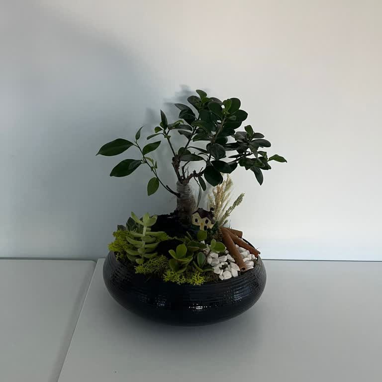 Yanlış Ürün Teslimatı Ve Geçersiz İndirim Kodları Nedeniyle Mağduriyet