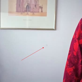 Onvo QLED TV Ekranında Leke Ve Servis Hizmeti Aksaklığı Nedeniyle Mağduriyet