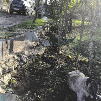 Kopan İnternet Kablosu Nedeniyle Haftalardır Hizmet Alamıyorum, Çözüm Bekliyorum