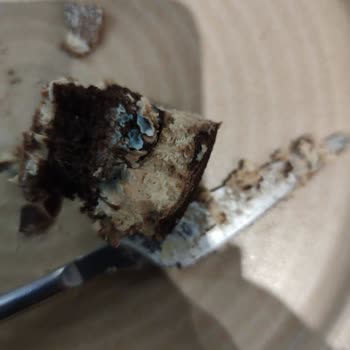 Küflü Tatlı Ve Saygısız Personel Nedeniyle Yaşanan Mağduriyet