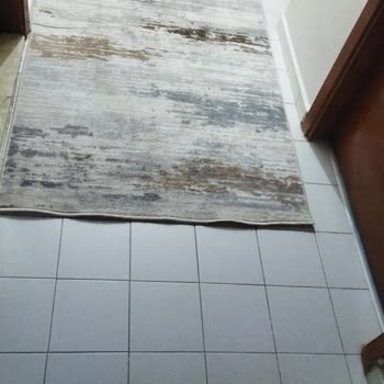 Halı Ve Koltuk Yıkama Hizmetinde Lekeler Ve Hasar, Yetersiz Müşteri Desteği