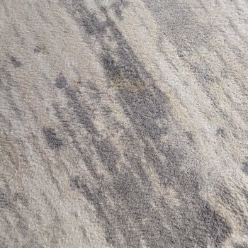 Halı Ve Koltuk Yıkama Hizmetinde Lekeler Ve Hasar, Yetersiz Müşteri Desteği