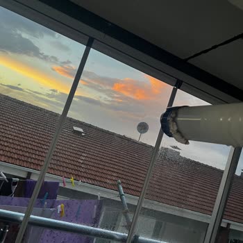 Eksik Ve Hatalı Cambalkon Hizmeti Sonrası Mağduriyet