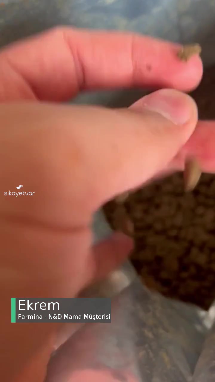 Farmina - N&D Mama Bayat Nemli Mama videonun kapak resmi