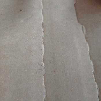 Domino's Pizza Siparişimde Hijyen Sorunu: Pizzadan Kıl Çıktı