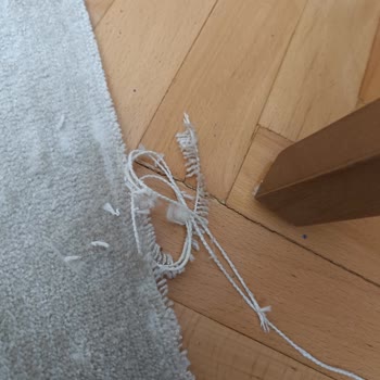 Dikişsiz Gelen Halı Ve Sürekli Ertelenen Çözüm Nedeniyle Mağduriyet Yaşadık