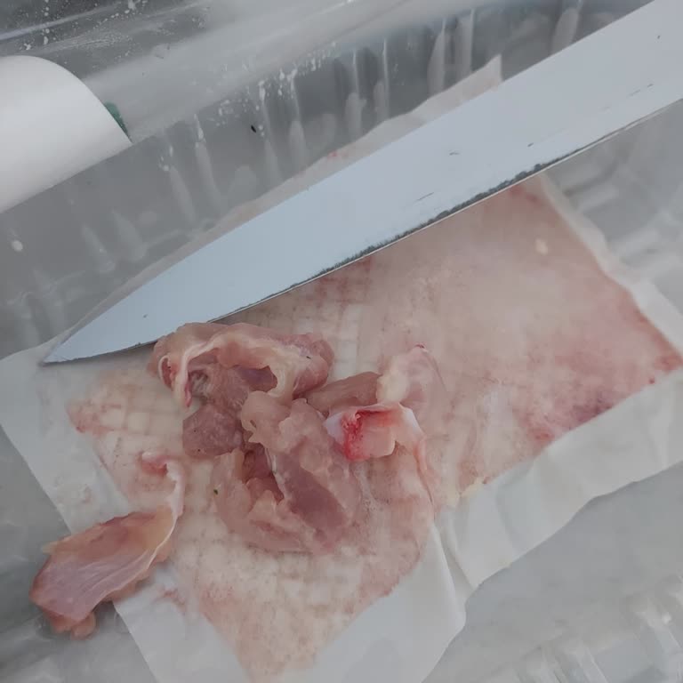 Keskinoğlu Kemiksiz Tavukta Kemik Ve Kıkırdak Parçaları Sorunu