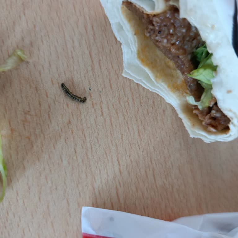 Komagene Dürüm Siparişimden Tırtıl Çıktı, Hijyen Konusunda Endişeliyim