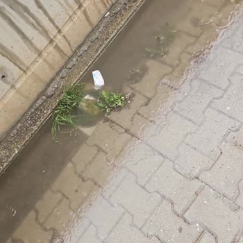 Yağmurda Tekrar Eden Gider Hattı Tıkanıklığı Mağduriyeti