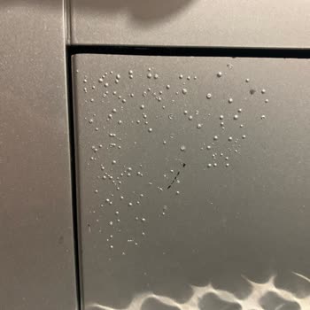 Philips LatteGo Kahve Makinesinde Kapak Boyası Sorunu Ve Garanti Talebi