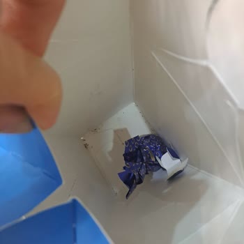 Aldığım Godiva Çikolatanın İçinden Kelebek Ve Kurtçuk Çıktı