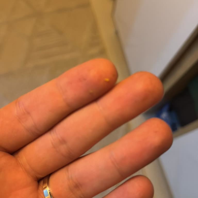 Giyilmiş Ve Kirli Ürün Gönderildi, İade Süreci Belirsizliği Yaşadım