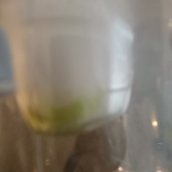 Brita Cam Sürahi Filtre Kısmında Yosunlanma Sorunu Ve Değişim Talebi