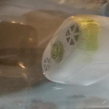 Brita Cam Sürahi Filtre Kısmında Yosunlanma Sorunu Ve Değişim Talebi