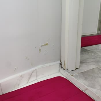 Gider Borusu Taşması Nedeniyle Dairem Ve Eşyalarım Zarar Görüyor