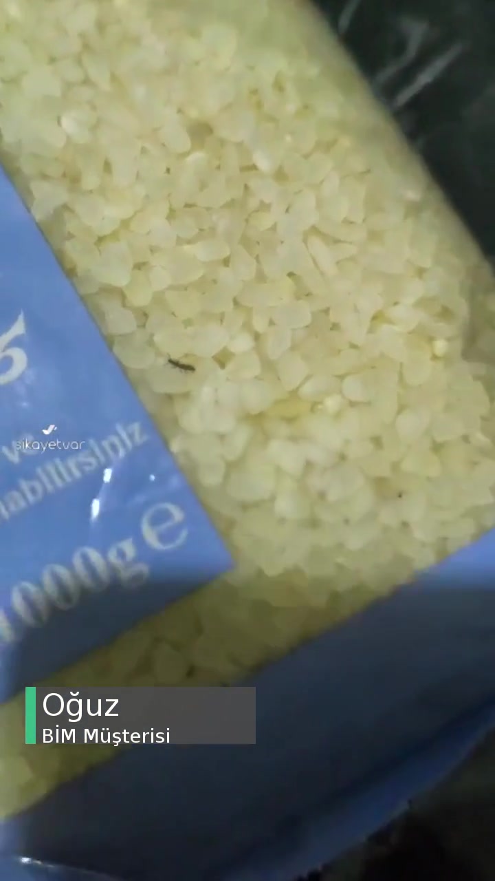 BİM'den Aldığım Pirinçte Böcek Var videonun kapak resmi