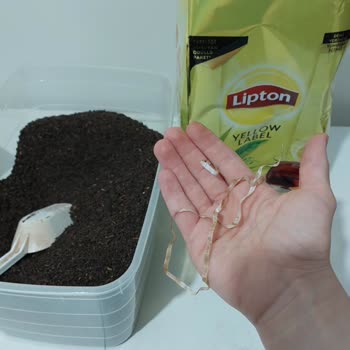 Lipton Çay Paketinden Çıkan Yabancı Madde Hijyen Endişesi