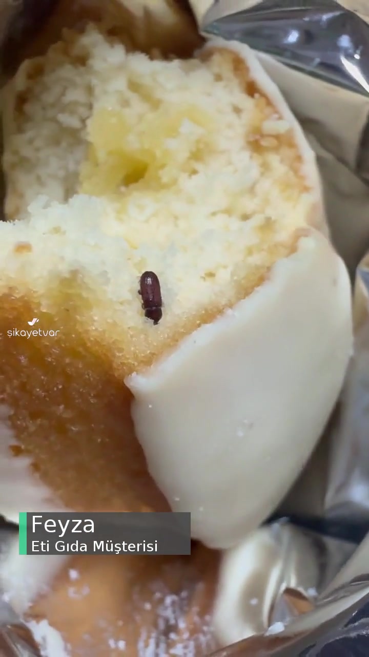 Eti Popkek Limonlu'dan Böcek Çıktı! videonun kapak resmi