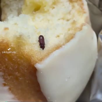 Eti Popkek Limonlu'dan Böcek Çıktı!