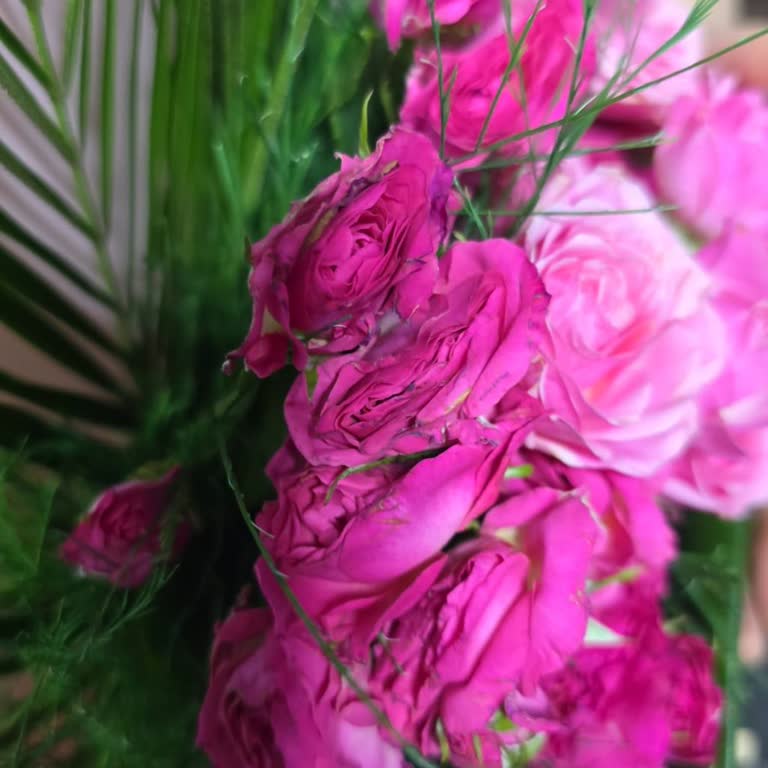 Sipariş Ettiğim Çiçekler Solmuş Ve Farklı Geldi!