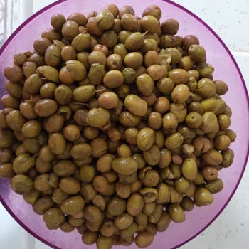 Söylemez Zeytincilik Suları Akmış Kutusu Islanmış ve Yırtılmış