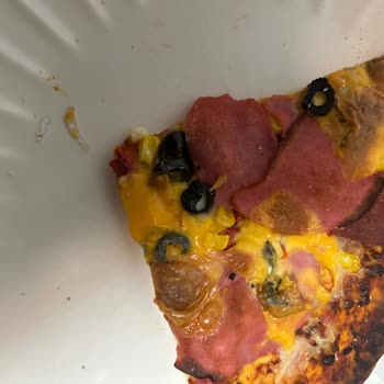 Harras Dondurulmuş Pizzada Cam Parçası Tehlikesi