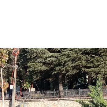 Amasya'da Yetersiz Ve Bakımsız Halk Otobüsü Hizmeti, Durak Eksikliği Ve İlgisizlik