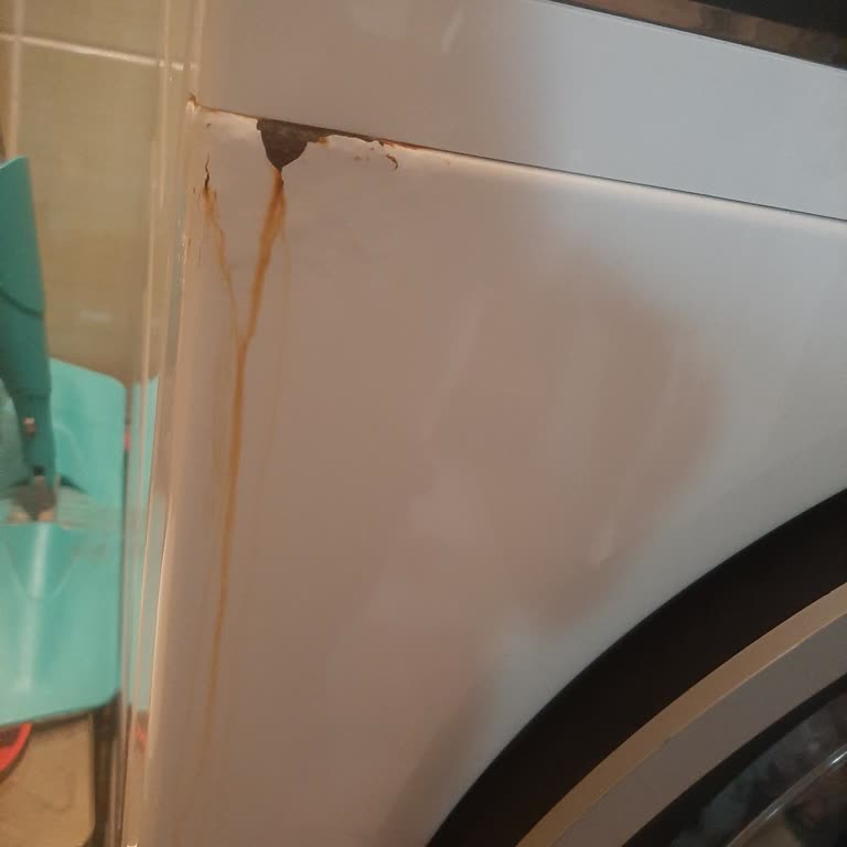 Bosch Serie 6 Çamaşır Makinesinde Garanti Kapsamında Su Kaçağı Mağduriyeti