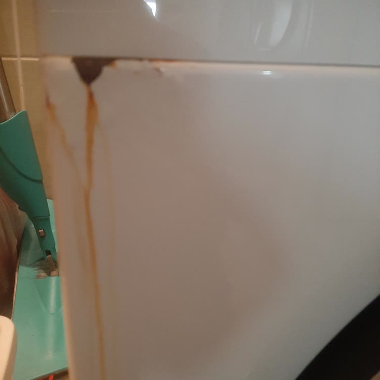 Bosch I-Dos Serie 6 Washing Machine Water Leak Not Repaired Under Warranty