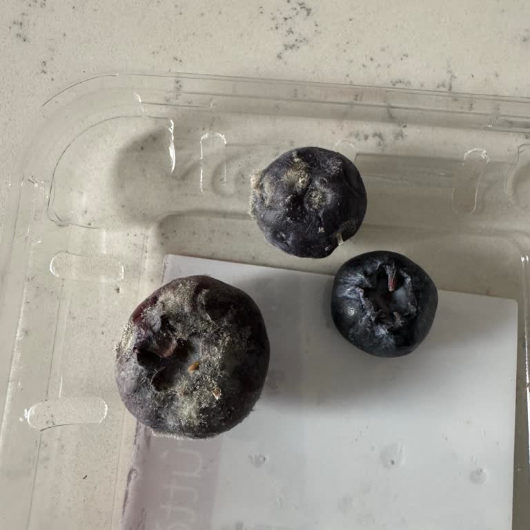 Küflü Yaban Mersini Ve Yetersiz Müşteri Hizmeti