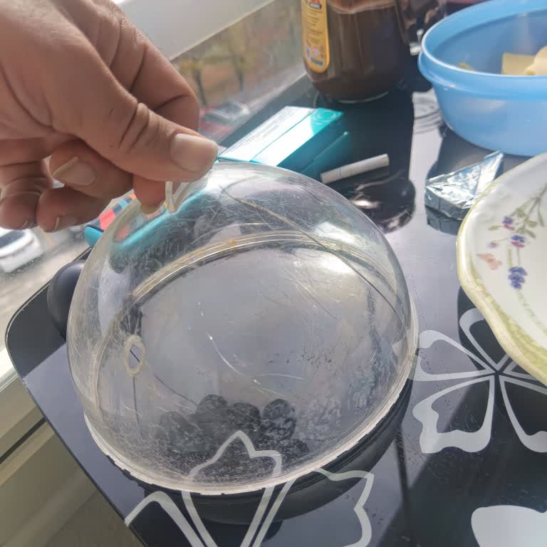 Yumurta Pişirme Makinesi Kapağı Çatladı Destek Alamıyorum