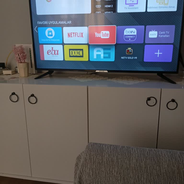 Televizyonda Youtube Uygulaması Açılmıyor İnternet Bağlantısı Aktif