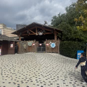 Viking Rafting Arızası Nedeniyle Saatlerce Bekledik Mağdur Olduk