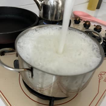 Biryağ Ayçiçek Yağı Kızartmada Yoğun Köpürme Ve Taşma Sorunu Yaşatıyor