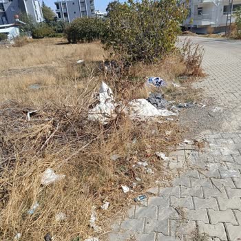 Serinyol Mahallesi'nde Süregelen Temizlik Ve Atık Sorunu