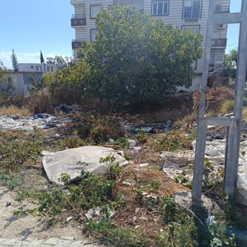 Serinyol Mahallesi'nde Süregelen Temizlik Ve Atık Sorunu