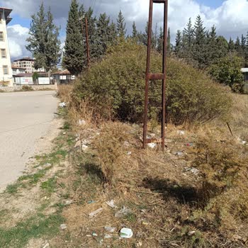 Serinyol Mahallesi'nde Süregelen Temizlik Ve Atık Sorunu