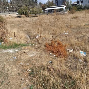 Serinyol Mahallesi'nde Süregelen Temizlik Ve Atık Sorunu