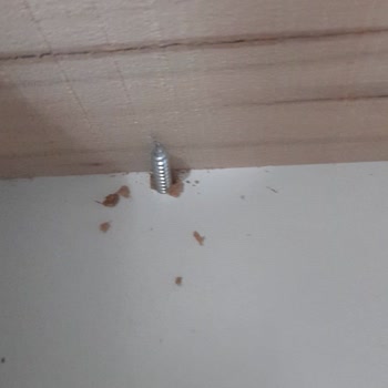 Eskidji Bazaar Sedef Home Şikayeti