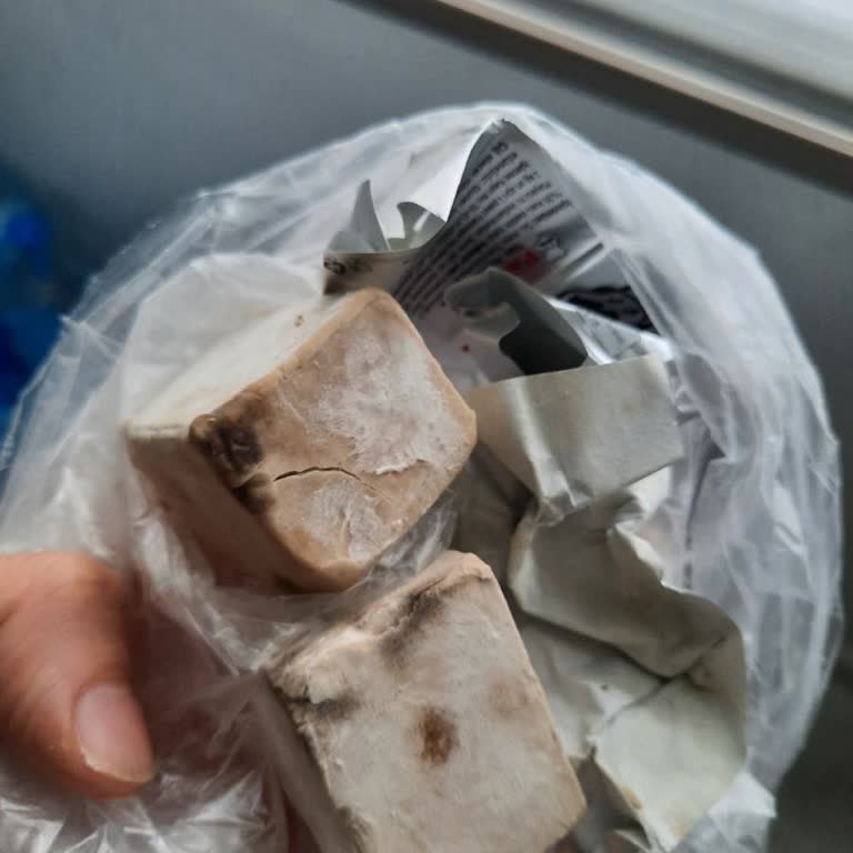 Pakmaya Maya Ürününde Son Kullanma Tarihi Geçmemiş Olmasına Rağmen Küf Ve Koku Sorunu