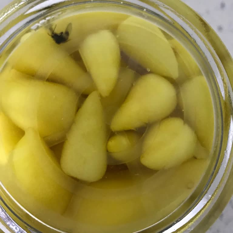 Burcu Gıda Biberiye Turşusunda Ölü Sinek Çıkması