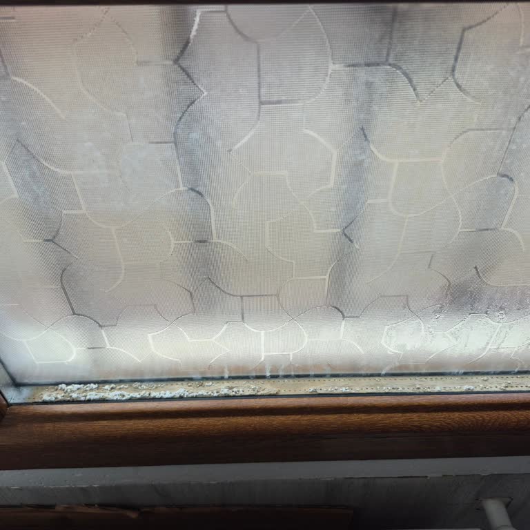 PVC Pencere ve Kapı Sorunları Hakkında Şikayet