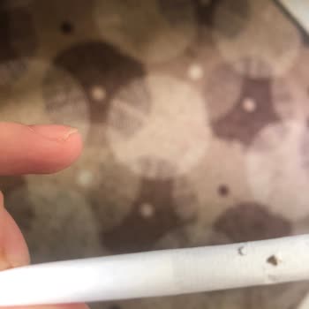 British American Tobacco | Bat Kent Switch Şikayeti