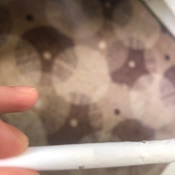 British American Tobacco | Bat Kent Switch Şikayeti