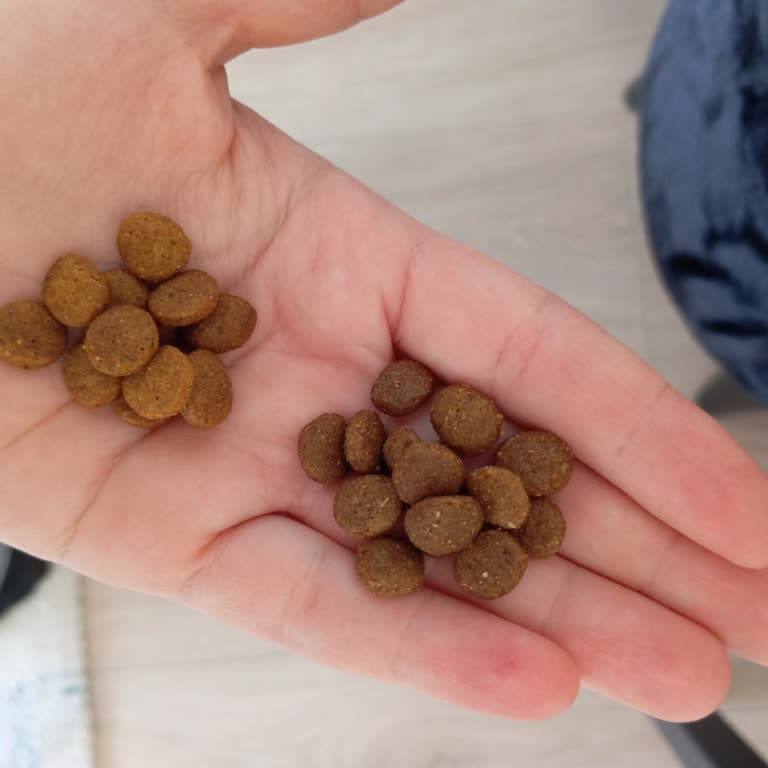 Satın Aldığım Kedi Mamasının Orijinalliği Hakkında Şüphe Ve İade Talebi
