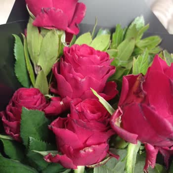 Sipariş Edilen Ürünle Teslim Edilen Ürün Arasındaki Fark ve İade Sorunu