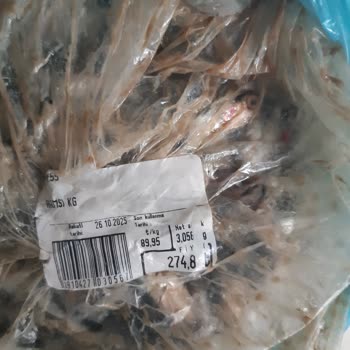 Nevgross Bayat Balık!