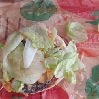 Yanmış Big King İle Yaşadığım Mağduriyetin Giderilmesini İstiyorum