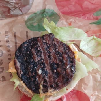 Yanmış Big King İle Yaşadığım Mağduriyetin Giderilmesini İstiyorum