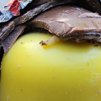 Çocuğuma Alırken İçinden Kurt Çıkan Üründe Büyük Sağlık Riski Yaşadık